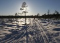 /album/kuvagalleria/skiing-ladut-jpg/